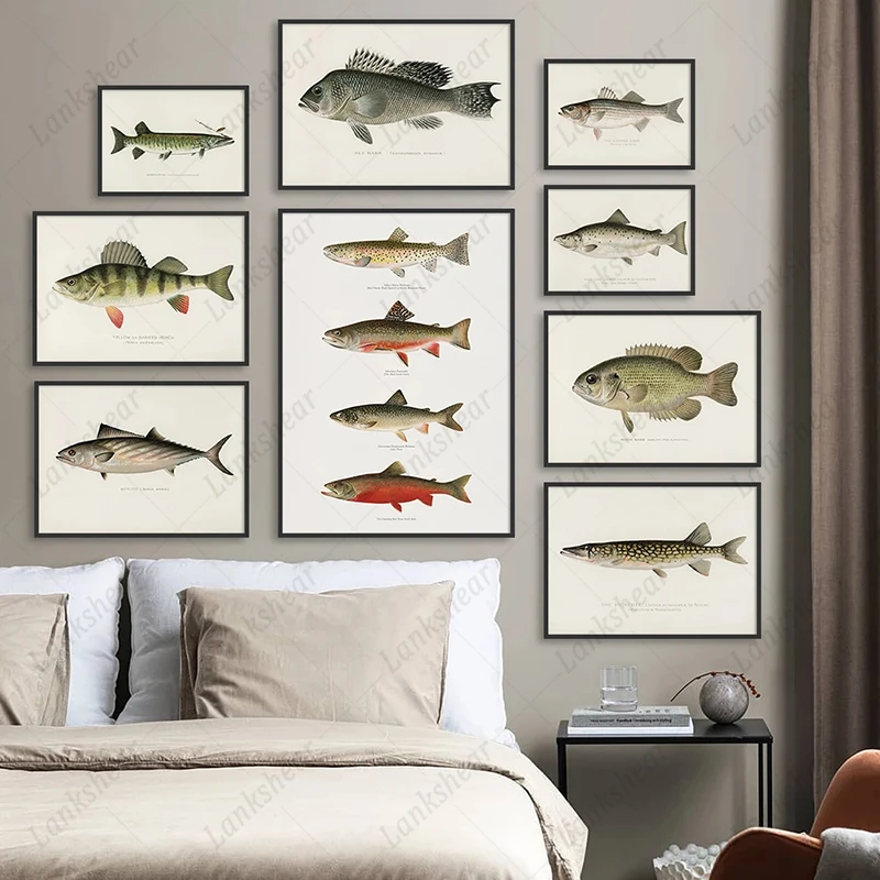 Vintage Posters and Prints Fishing Painting Breed of Fish Picture Freshwater Fish Hd Mural Canvas Art Home Decor for Living Room
Vintage Posters and Prints Fishing Painting Breed of Fish Picture Freshwater Fish Hd Mural Canvas Art Home Decor for Living Room