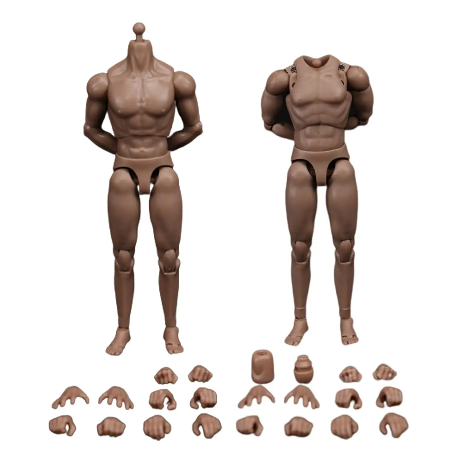 1/12 фигурка модели мышц, модель, игрушки для рисования, подарки, игрушки, долговечная экшн-кукла
1/12 фигурка модели мышц, модель, игрушки для рисования, подарки, игрушки, долговечная экшн-кукла