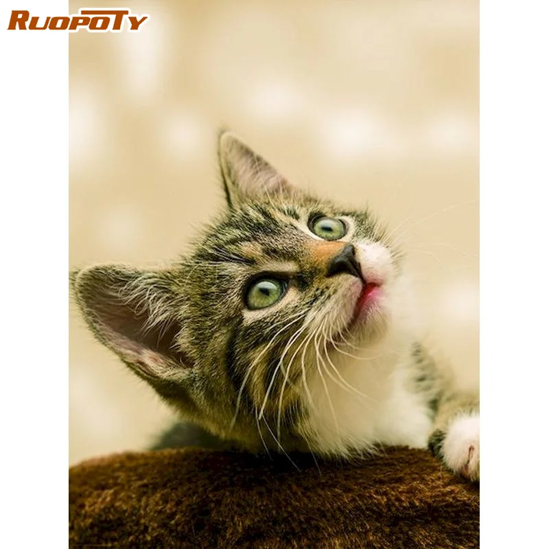 RUOPOTY Full Square/Round Drill 5D DIY Diamond Painting "Cat" Diamond Embroidery Frame Cross Stitch 5D Home Decor Gift
RUOPOTY Full Square/Round Drill 5D DIY Diamond Painting "Cat" Diamond Embroidery Frame Cross Stitch 5D Home Decor Gift