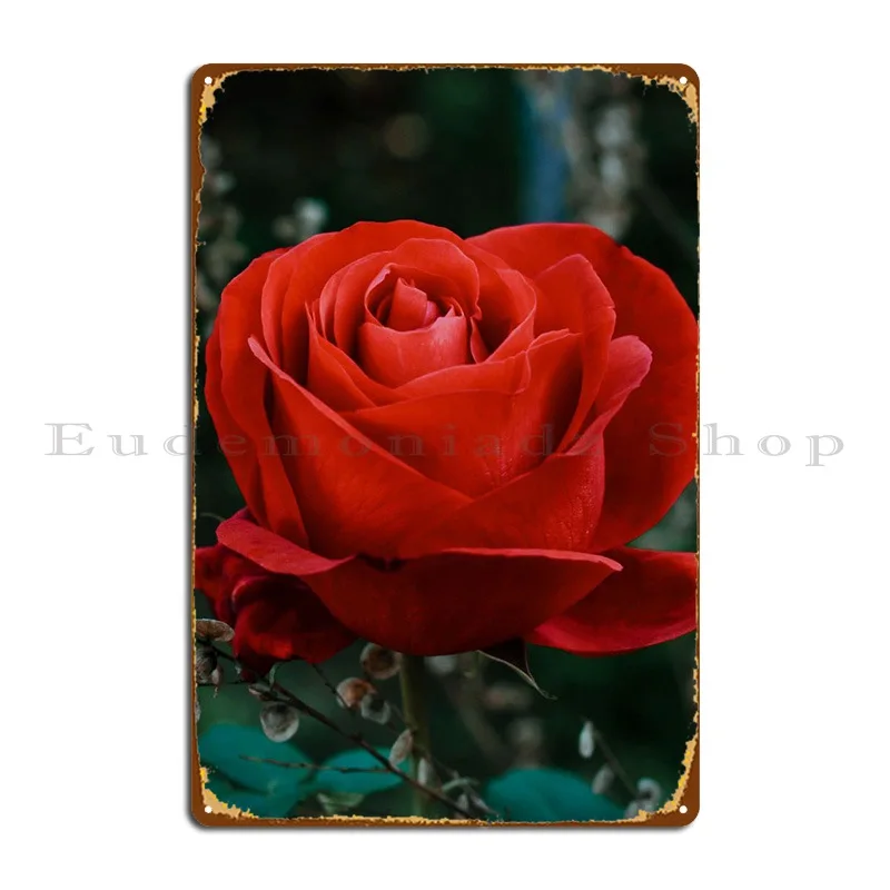 Лучшая рамка с цветами, 3 металлических плаката, покраска, гаражные таблички, пещера, жестяные пластинки, постер с знаком
Лучшая рамка с цветами, 3 металлических плаката, покраска, гаражные таблички, пещера, жестяные пластинки, постер с знаком