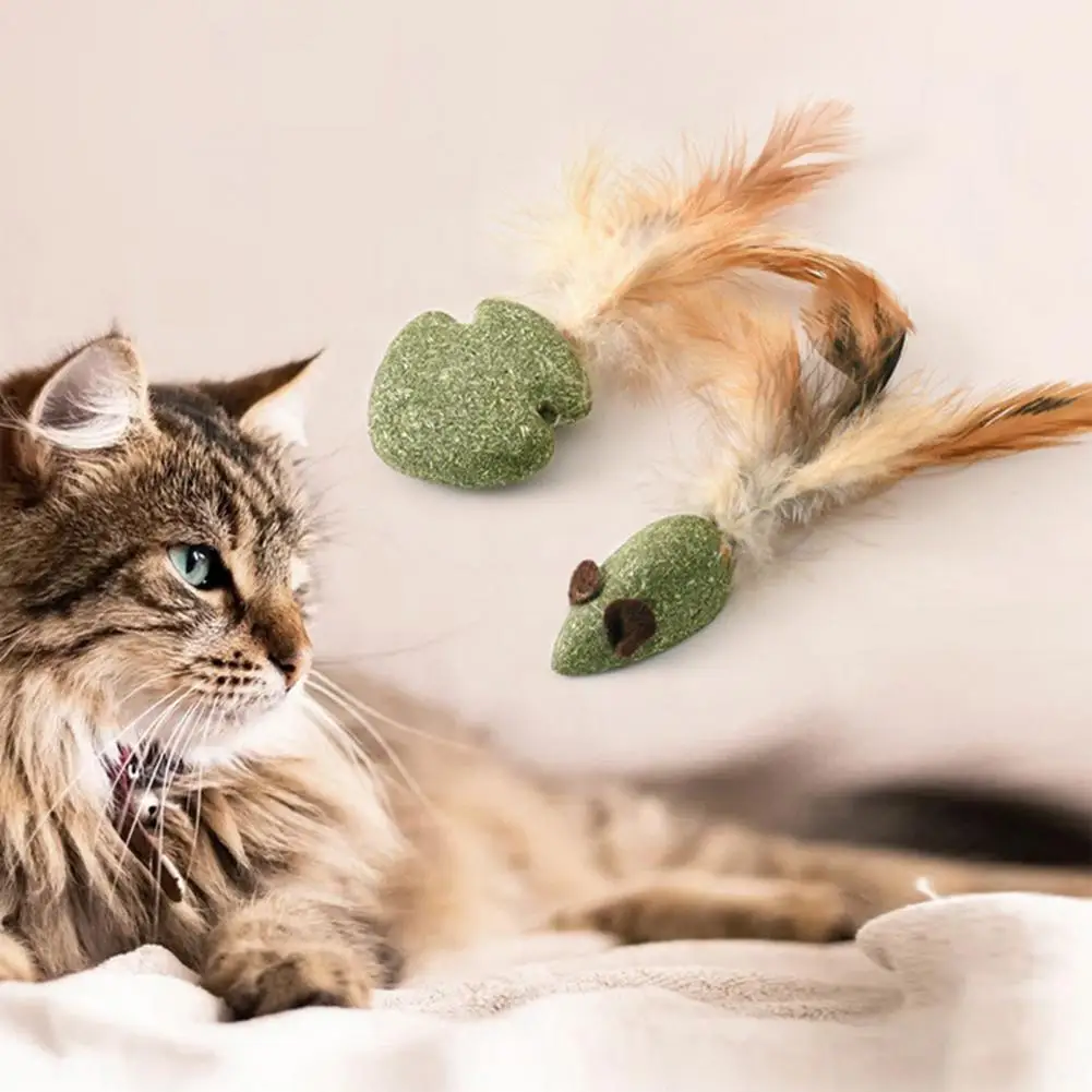 Catnip Toy with Feather Cartoons Fish Rat Shape Edible Teeth Cleaning Cat Toy Pet Snack Toy Cat Supplies
Catnip Toy with Feather Cartoons Fish Rat Shape Edible Teeth Cleaning Cat Toy Pet Snack Toy Cat Supplies
