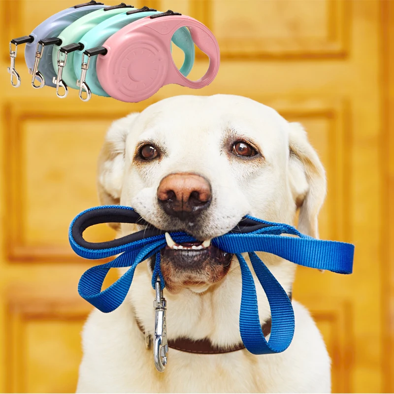 5Meters Nylon Retractable Dog Collar for Small Medium Large Dog Cat Leashes Lead Dog Accessories Roulette Leash Dogs Supplies
5Meters Nylon Retractable Dog Collar for Small Medium Large Dog Cat Leashes Lead Dog Accessories Roulette Leash Dogs Supplies