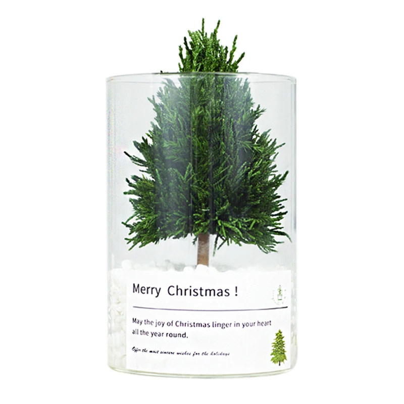 New Christmas Tree Real Tree Desktop Decoration Small Christmas Gift Decorations Mini Christmas Tree Home
New Christmas Tree Real Tree Desktop Decoration Small Christmas Gift Decorations Mini Christmas Tree Home