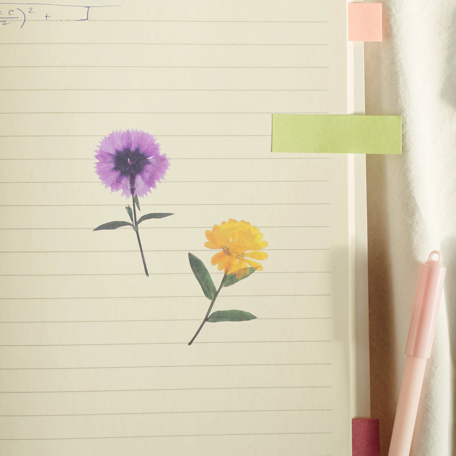 6 Packs Pocket Decoration Crafting Stickers Elegant Floral Dried Flower Suite Plant The Pet Journaling Supplies Kit
6 Packs Pocket Decoration Crafting Stickers Elegant Floral Dried Flower Suite Plant The Pet Journaling Supplies Kit