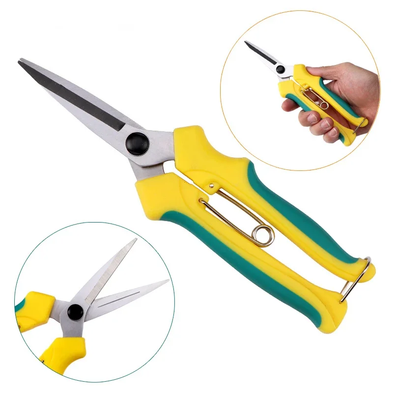 1Pcs high quality Anti-Slip Gardening Pruning Shear Scissor Stainless Steel Cutting Tools Set Pruner Tree Cutter Home Tools
1Pcs high quality Anti-Slip Gardening Pruning Shear Scissor Stainless Steel Cutting Tools Set Pruner Tree Cutter Home Tools