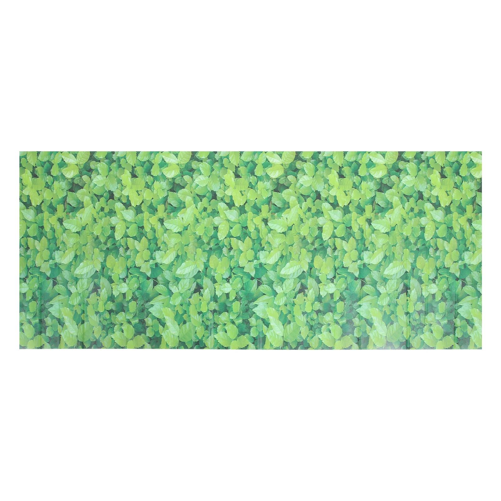 Reptile Tank Picture Sticker High Definition Printing Sticker for Terrarium Self Adhesive Box
Reptile Tank Picture Sticker High Definition Printing Sticker for Terrarium Self Adhesive Box