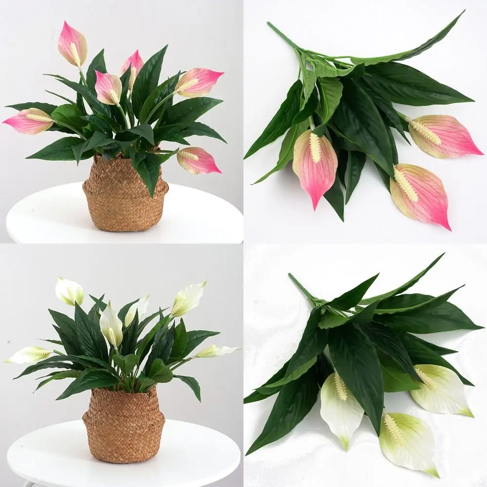 Ornament Home Decoration Faux Plants Leaves Floral Arrangement Lifelike Flower Greenery Artificial Spathiphyllum
Ornament Home Decoration Faux Plants Leaves Floral Arrangement Lifelike Flower Greenery Artificial Spathiphyllum