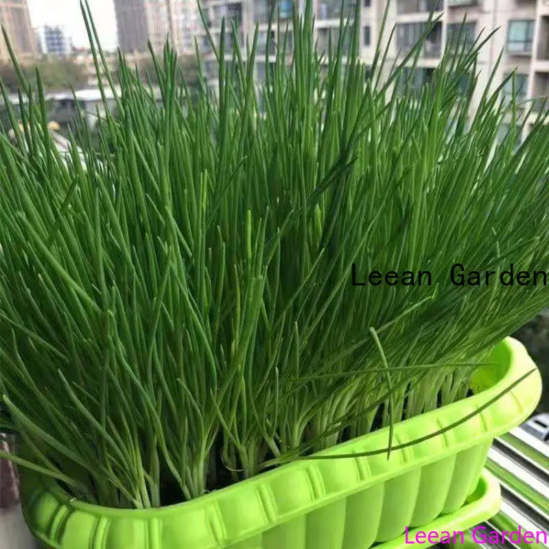 Скульптурный Капучинатор, тыква, лук, огурец, капуста, морковка, помидор 
Скульптурный Капучинатор, тыква, лук, огурец, капуста, морковка, помидор