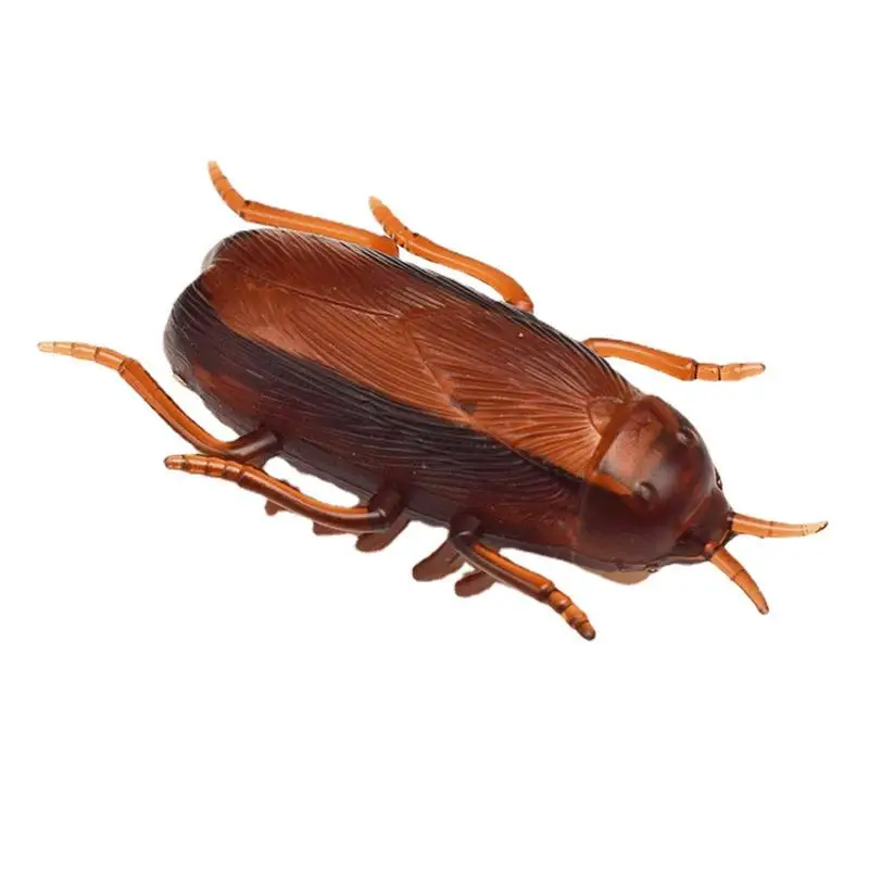 Moving Cockroach Toy Funny Electronic Pet Interactive Play toy Realistic Vibration Electric Crawl Toy Vibration Insect Toys
Moving Cockroach Toy Funny Electronic Pet Interactive Play toy Realistic Vibration Electric Crawl Toy Vibration Insect Toys