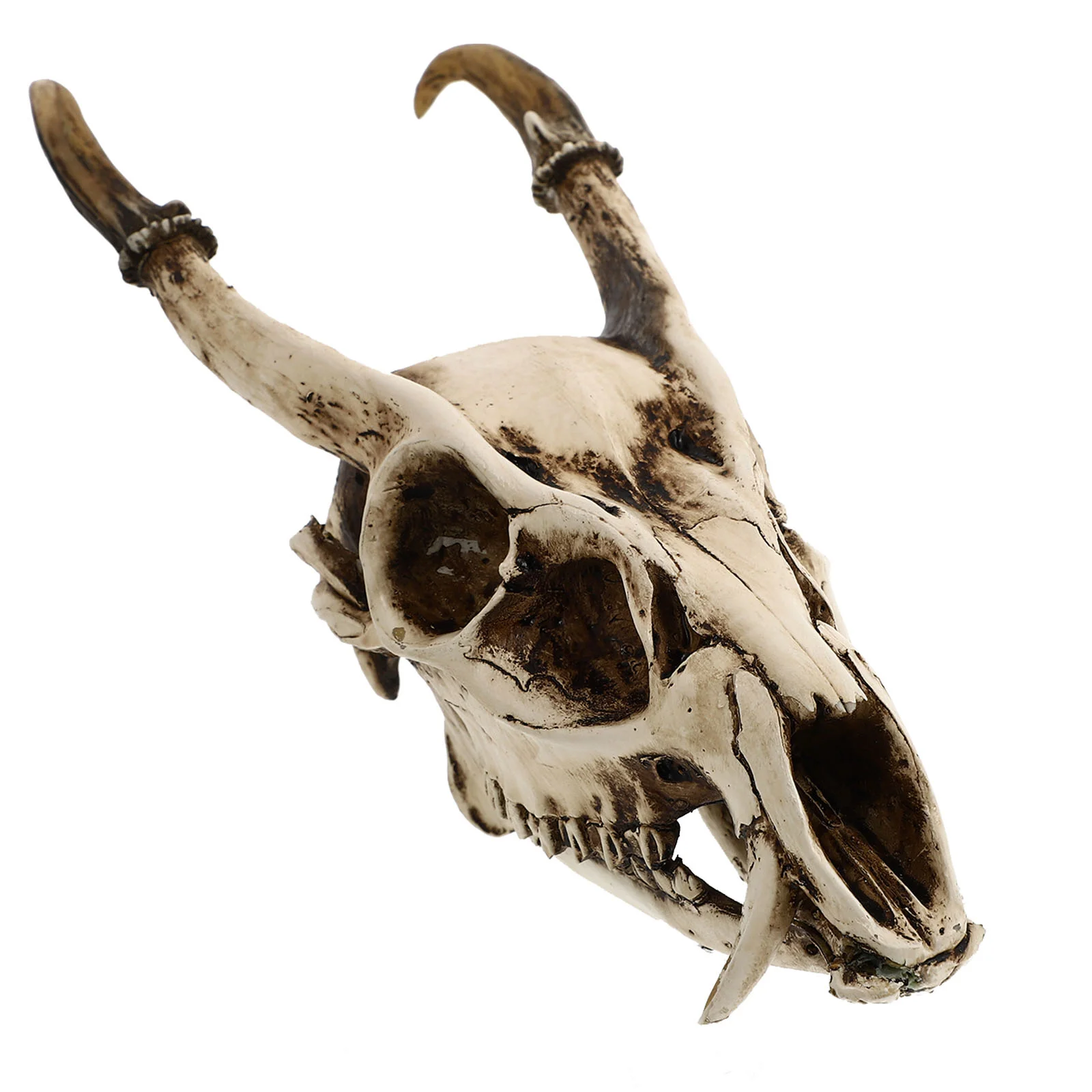 Goat Ornament Model Adornment Creative Decor Retro Demon Artware Resin Fish Tank Antler
Goat Ornament Model Adornment Creative Decor Retro Demon Artware Resin Fish Tank Antler