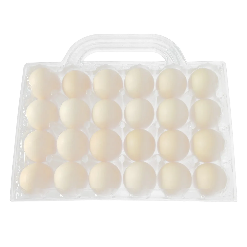 Egg Holder Egg Holder Containers Fridge Egg Holder Egg Carrier Travel Container Gift Box Egg Box
Egg Holder Egg Holder Containers Fridge Egg Holder Egg Carrier Travel Container Gift Box Egg Box
