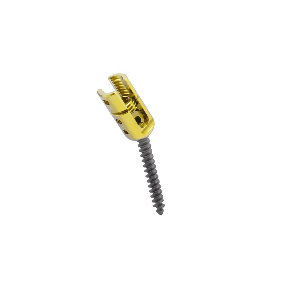 Competitive Price Spinal Surgery Titanium Orthopedic Surgical Implants Spine 6.0 Polyaxial Pedicle Screw System
Competitive Price Spinal Surgery Titanium Orthopedic Surgical Implants Spine 6.0 Polyaxial Pedicle Screw System