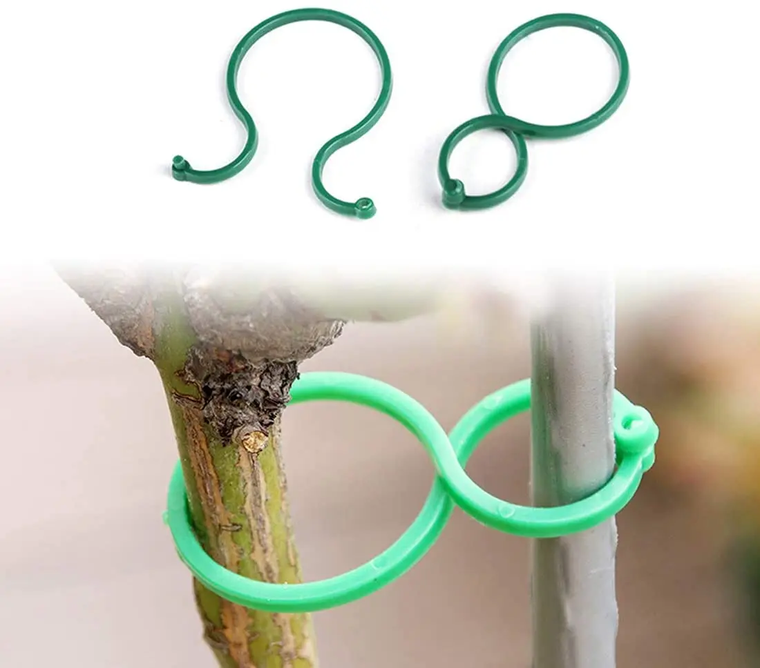 200-100Pcs Garden Plant Support Tomato Clips Plant Clips Vegetables Tomato Vine Flower Clips Plant Locks for Securing Plants
200-100Pcs Garden Plant Support Tomato Clips Plant Clips Vegetables Tomato Vine Flower Clips Plant Locks for Securing Plants