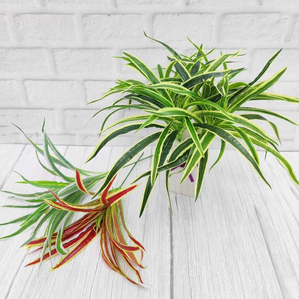 40CM Single Branch Artificial Plants Green Grass Simulation Chlorophytum Fake Plastic Pant Home Garden Office Desktop Decoration
40CM Single Branch Artificial Plants Green Grass Simulation Chlorophytum Fake Plastic Pant Home Garden Office Desktop Decoration
