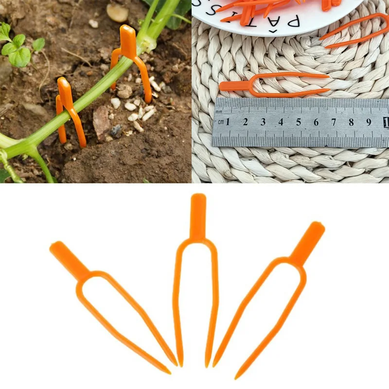 Plant Climbing Support Clips Vine Holder For Flower Seedling Strawberry Plant Fork, Garden Vine Press, Tomato Vine Fixing Fork
Plant Climbing Support Clips Vine Holder For Flower Seedling Strawberry Plant Fork, Garden Vine Press, Tomato Vine Fixing Fork