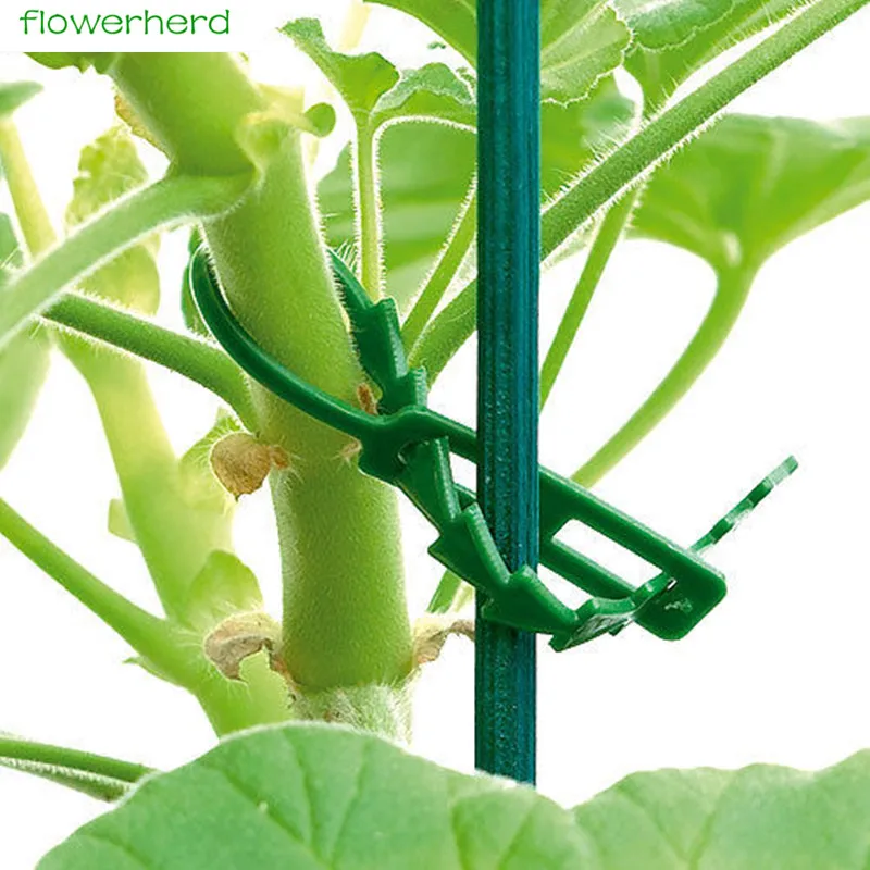 10PCS Reusable Vines Fastener Tied Buckle Hook Plant Vegetable Grafting Clips Agricultural Greenhouse Supplies
10PCS Reusable Vines Fastener Tied Buckle Hook Plant Vegetable Grafting Clips Agricultural Greenhouse Supplies