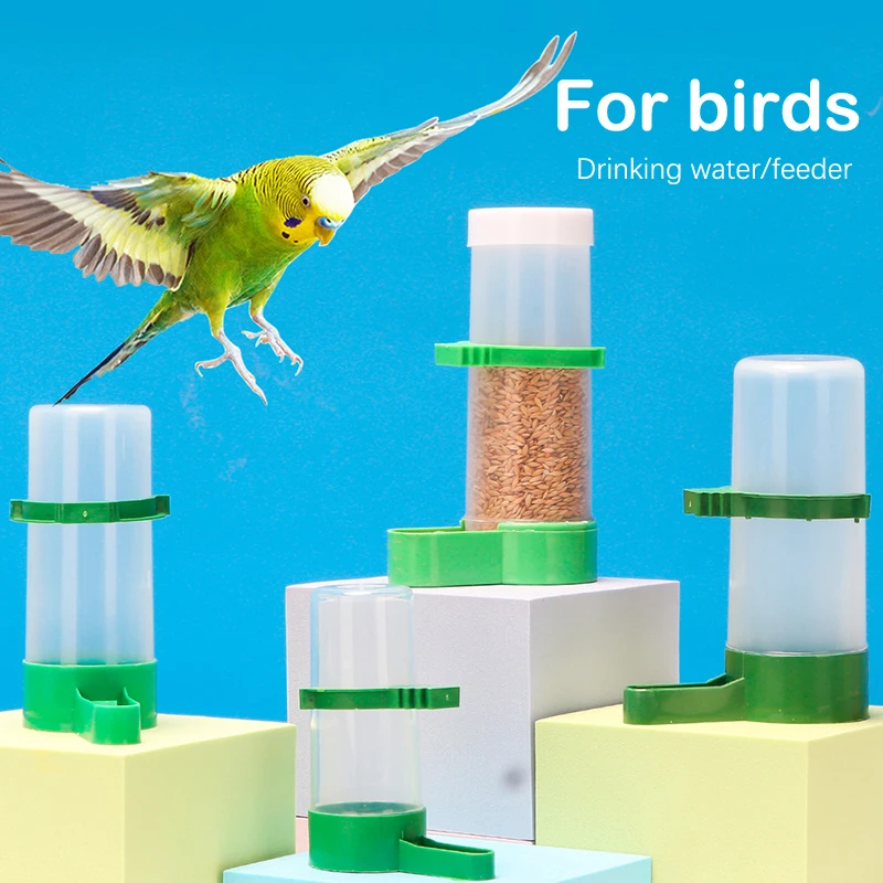 Bird Feeder Water Drinker Automatic Drinking Fountain Pet Parrot Cage Bottle Drinking Cup Bowls Pet Bird Supplies Dispenser
Bird Feeder Water Drinker Automatic Drinking Fountain Pet Parrot Cage Bottle Drinking Cup Bowls Pet Bird Supplies Dispenser