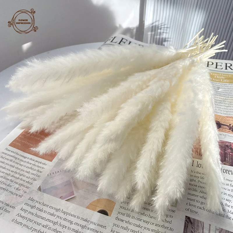 30PCS Dried Pampas Grass Flower Reeds Natural Plants Bouquet DIY Craft Wedding Photography Props Home Party Decoration Supplies
30PCS Dried Pampas Grass Flower Reeds Natural Plants Bouquet DIY Craft Wedding Photography Props Home Party Decoration Supplies