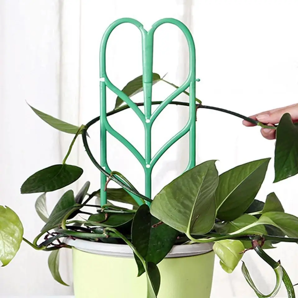 Plastic Plant Climbing Frame Vine Climbing Frame Plant Support Frame Indoor Flower Plant Vine Climbing Bracket Plant Accessories
Plastic Plant Climbing Frame Vine Climbing Frame Plant Support Frame Indoor Flower Plant Vine Climbing Bracket Plant Accessories