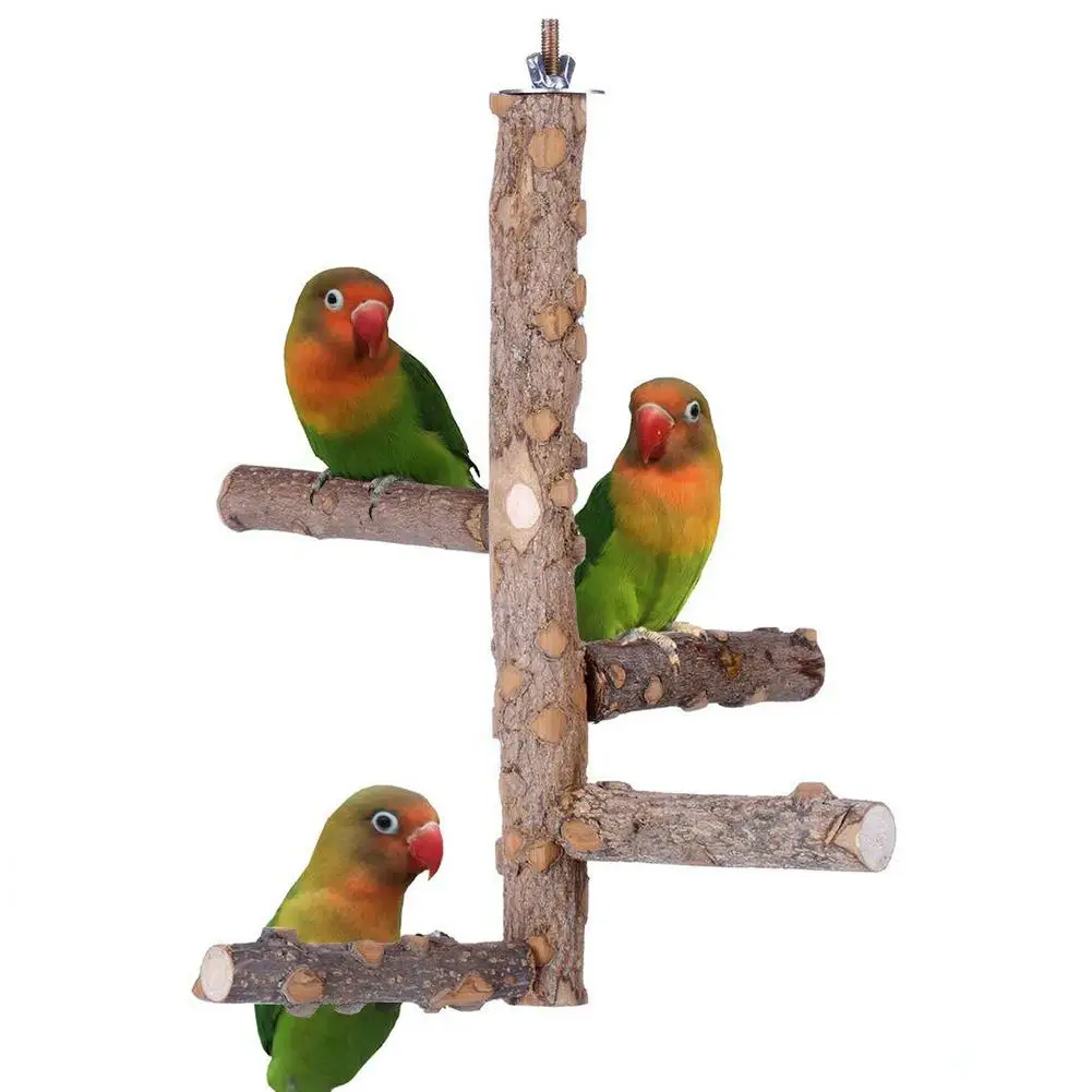 Parrot Natural Wooden Perch Stand Bird Chewing Toy Standing Training Toys Cage Accessories Bird Supplies
Parrot Natural Wooden Perch Stand Bird Chewing Toy Standing Training Toys Cage Accessories Bird Supplies