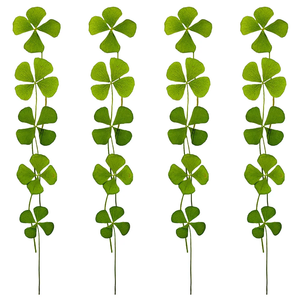 Pressed Dried Leaf Resin Four Dry Diy Flowers Leaves Shamrock Making Crafts Flower Decor Luck Day S Patric Materials Necklace
Pressed Dried Leaf Resin Four Dry Diy Flowers Leaves Shamrock Making Crafts Flower Decor Luck Day S Patric Materials Necklace