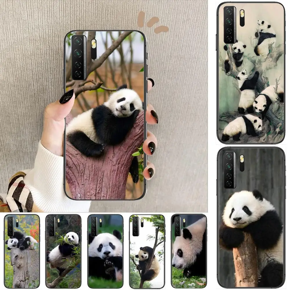 Cute Chinese Panda Animal Black Soft Cover The Pooh For Huawei Nova 8 7 6 SE 5T 7i 5i 5Z 5 4 4E 3 3i 3E 2i Pro Phone Case cases
Cute Chinese Panda Animal Black Soft Cover The Pooh For Huawei Nova 8 7 6 SE 5T 7i 5i 5Z 5 4 4E 3 3i 3E 2i Pro Phone Case cases