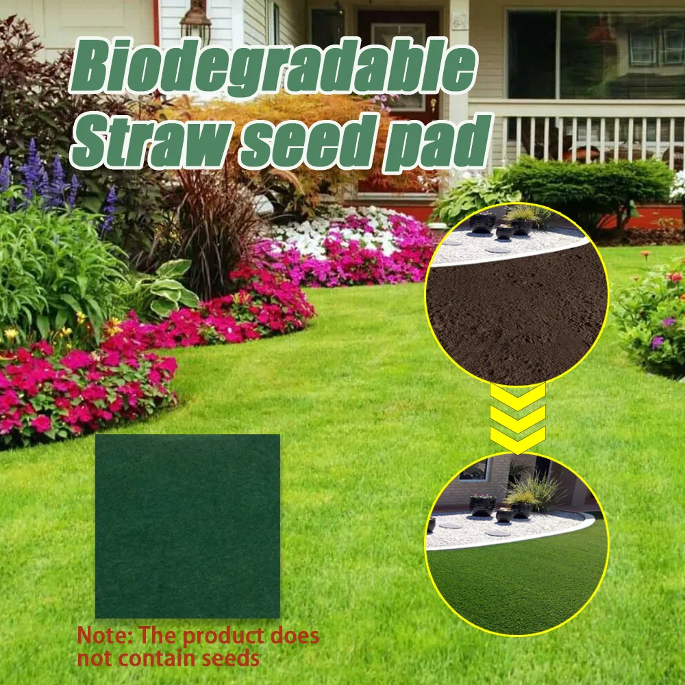 Free Shipping Grass Seed Blanket Gardening Eco Blanket Biodegradable Grass Rug Garden Decoration Artificial Grass Carpet 0.2*10M
Free Shipping Grass Seed Blanket Gardening Eco Blanket Biodegradable Grass Rug Garden Decoration Artificial Grass Carpet 0.2*10M