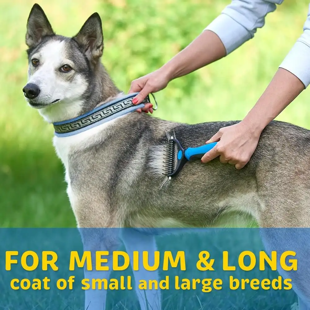 Professional Dog Brush Gently Efficient Safe Hair Comb Grooming and Care Goods for Pet Horse Chiens Cats Supplies Accessories
Professional Dog Brush Gently Efficient Safe Hair Comb Grooming and Care Goods for Pet Horse Chiens Cats Supplies Accessories