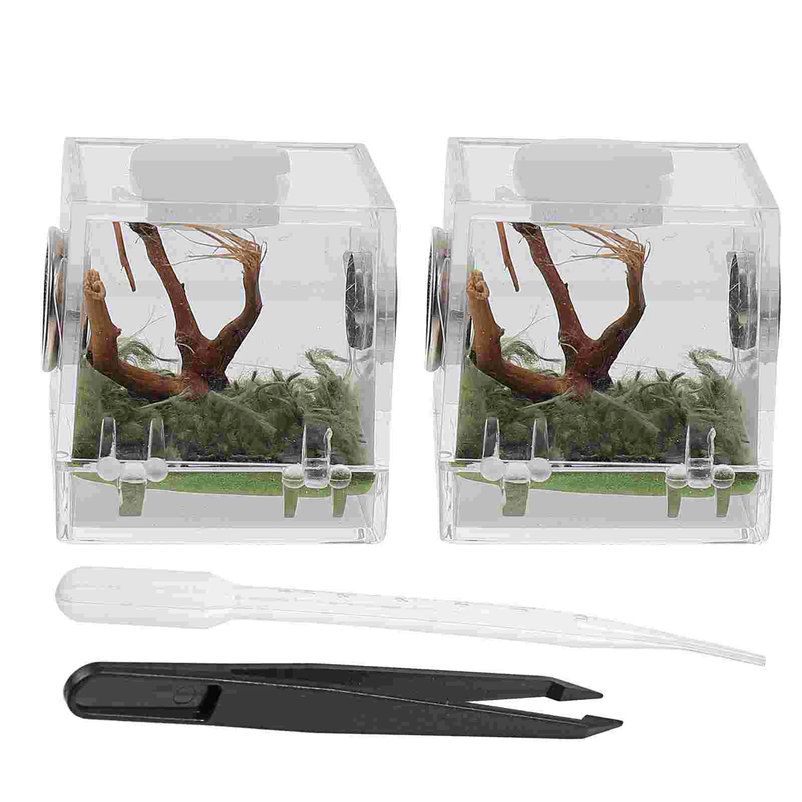 2 Set Reptiles Cage Jumping Spider Breeding Box Landscape Case Insect Living Habitat 3.5X3.5X4CM Cage Ecological Acrylic
2 Set Reptiles Cage Jumping Spider Breeding Box Landscape Case Insect Living Habitat 3.5X3.5X4CM Cage Ecological Acrylic
