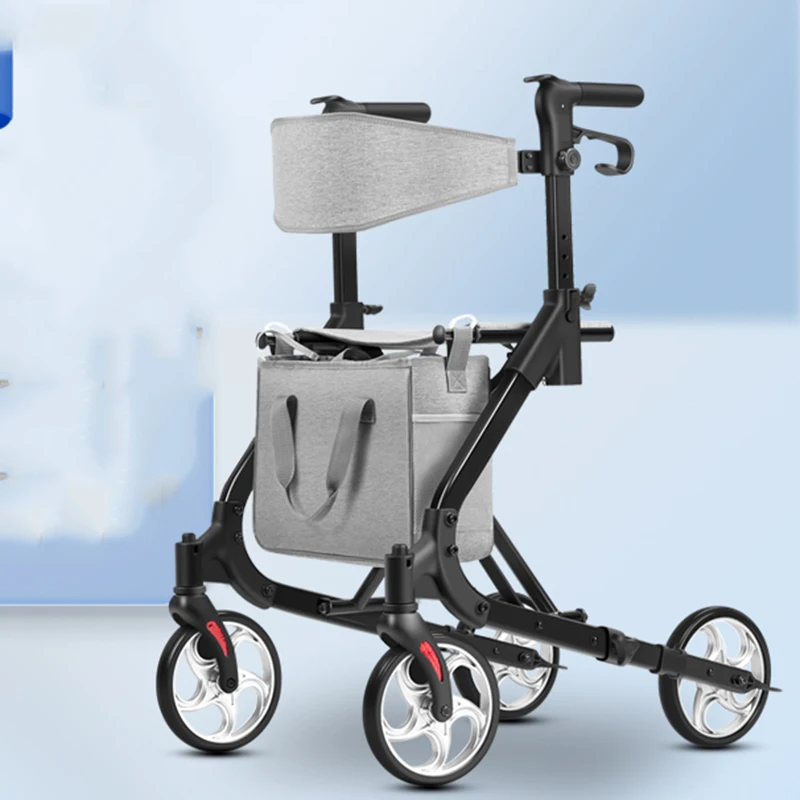 Elderly Chair Senior Chairs Trolleys Portable Device Luggage Trolley Krzesło Prysznicowe Furniture