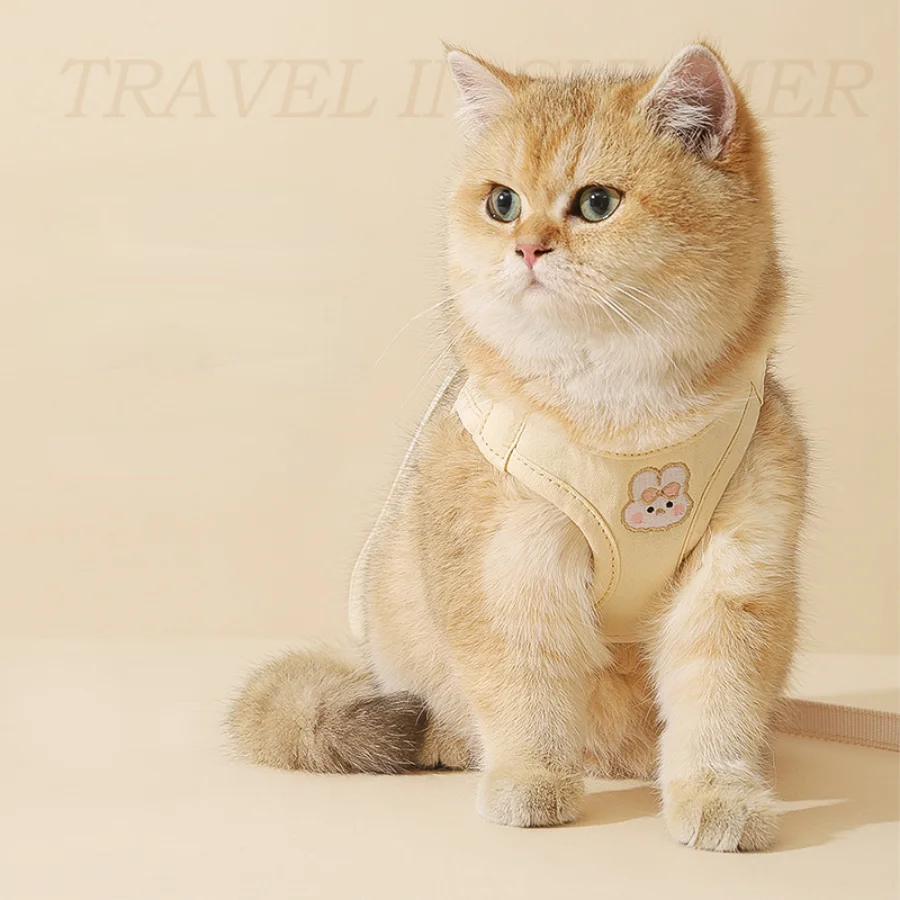 Kitten CuteTriangle Bib Cat Lead Leash Small Walking Anti-Loss Durable Harness Best Selling Arnes De Gato De Paseo Pets Product
Kitten CuteTriangle Bib Cat Lead Leash Small Walking Anti-Loss Durable Harness Best Selling Arnes De Gato De Paseo Pets Product