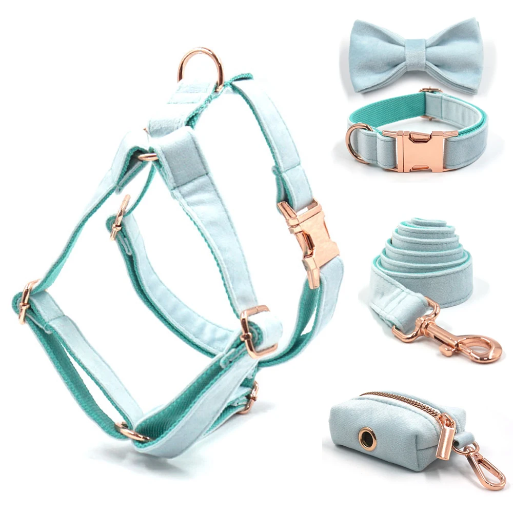 Бирюзовый бархатный персонализированный комплект шлейки и поводка для маленьких и больших собак полностью регулируемый ошейник для собак ... 
Бирюзовый бархатный персонализированный комплект шлейки и поводка для маленьких и больших собак полностью регулируемый ошейник для собак ...