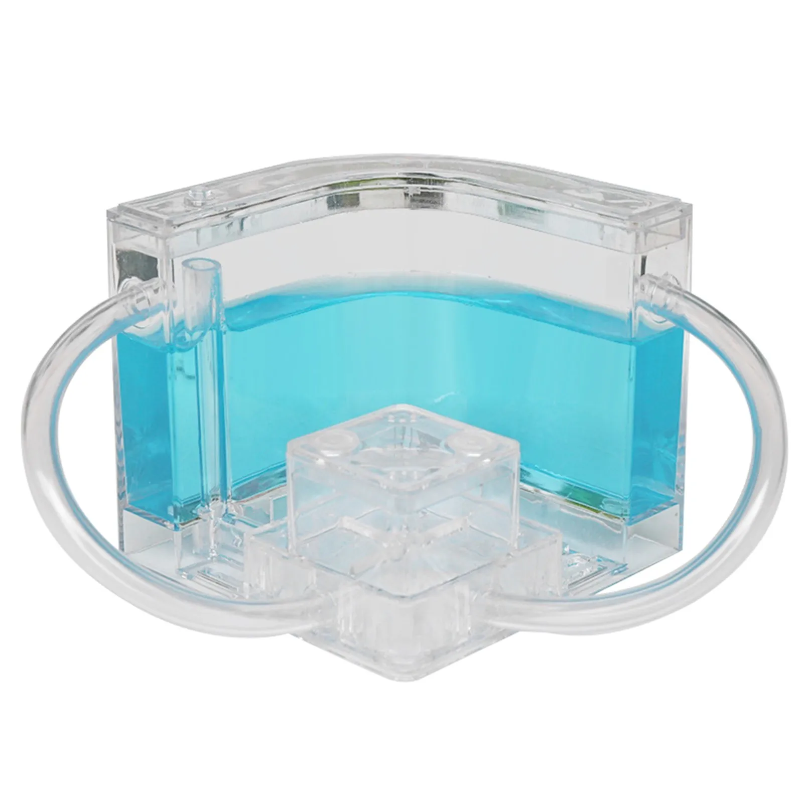 Ant Castle Ant Learning Educational Toy Study Farm Science Kids Habitat 2021 Kit Education
Ant Castle Ant Learning Educational Toy Study Farm Science Kids Habitat 2021 Kit Education