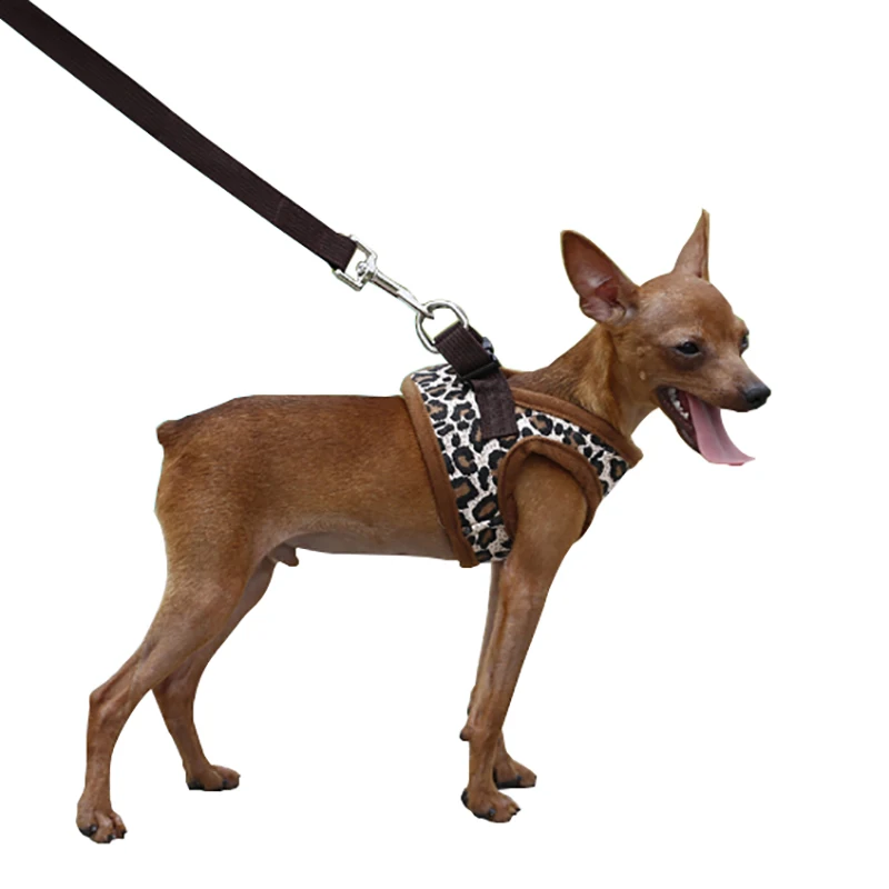Leopard Dog Harness For Small Dogs Nylon Chihuahua Yorkie Vest Harness Puppy Pet Cat Walking Harness Without Leash Pet Products
Leopard Dog Harness For Small Dogs Nylon Chihuahua Yorkie Vest Harness Puppy Pet Cat Walking Harness Without Leash Pet Products