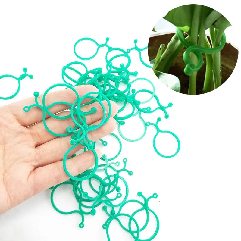 Garden Plant Tool Tree Holder Stand Trellis Clips For Vine Vegetable Tomato Growing Upright
Garden Plant Tool Tree Holder Stand Trellis Clips For Vine Vegetable Tomato Growing Upright