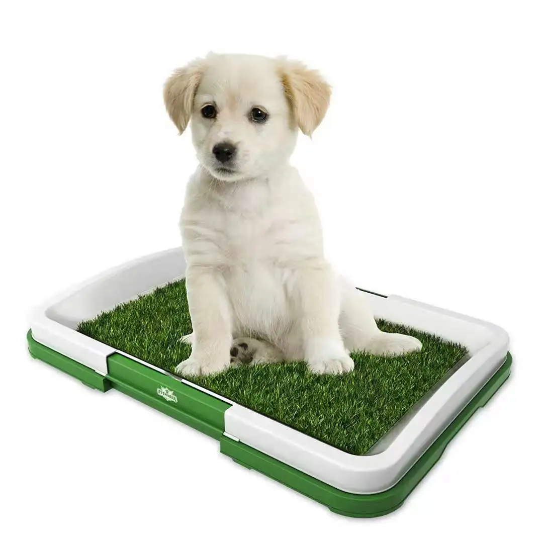 Portable Dog Toilet Training Artificial Grass Bathroom Mat Pet Toilet Indoor and Outdoor Essentials for Puppies and Small Pet
Portable Dog Toilet Training Artificial Grass Bathroom Mat Pet Toilet Indoor and Outdoor Essentials for Puppies and Small Pet