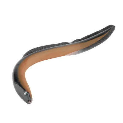 1pc Shimmer Eels Cod Bass Wrasse Pollock Ling Sea Fishing Boat Lures Soft Plastics PVC Saltwater Lures Eel Fake Bait
1pc Shimmer Eels Cod Bass Wrasse Pollock Ling Sea Fishing Boat Lures Soft Plastics PVC Saltwater Lures Eel Fake Bait