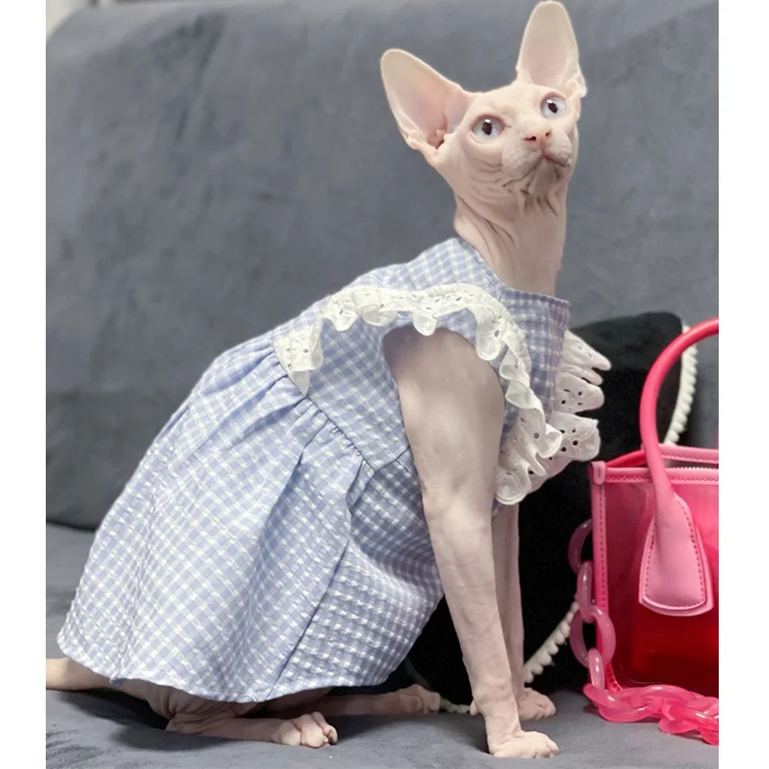 Hairless cat clothes spring summer thin cat skirt Sphinx Outfits Cornish Devon Rex princess cat dress for Sphynx cat clothes
Hairless cat clothes spring summer thin cat skirt Sphinx Outfits Cornish Devon Rex princess cat dress for Sphynx cat clothes
