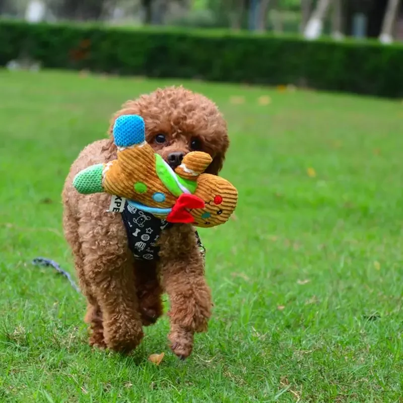 Cute Gingerbread Man Plush Toy Pet Appease Doll Biscuits Man Pillow Cushion Reindeer Home Decor Toy For Pet Dog Christmas Gift
Cute Gingerbread Man Plush Toy Pet Appease Doll Biscuits Man Pillow Cushion Reindeer Home Decor Toy For Pet Dog Christmas Gift