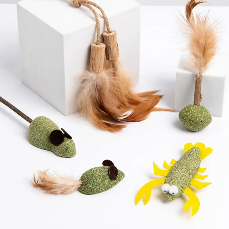 Wooden Polygonum Catnip Cat Chasing Game Toy Healthy Pet Catnip Toys Safety Mixed Multicolor Edible Catnip Ball
Wooden Polygonum Catnip Cat Chasing Game Toy Healthy Pet Catnip Toys Safety Mixed Multicolor Edible Catnip Ball