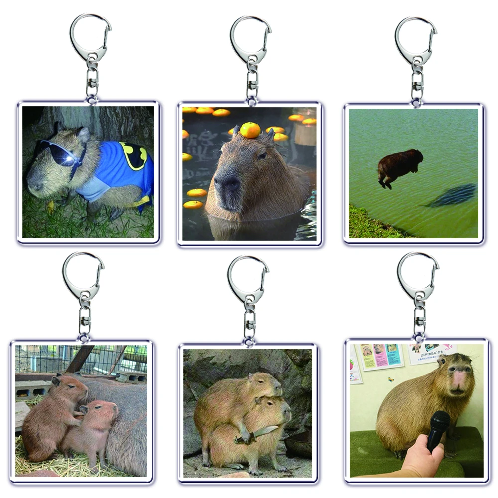 Забавный двусторонний акриловый брелок для ключей capyora, милый популярный мультяшный брелок для ключей с животными, подвеска для сумки, аксессуары, подарок
Забавный двусторонний акриловый брелок для ключей capyora, милый популярный мультяшный брелок для ключей с животными, подвеска для сумки, аксессуары, подарок