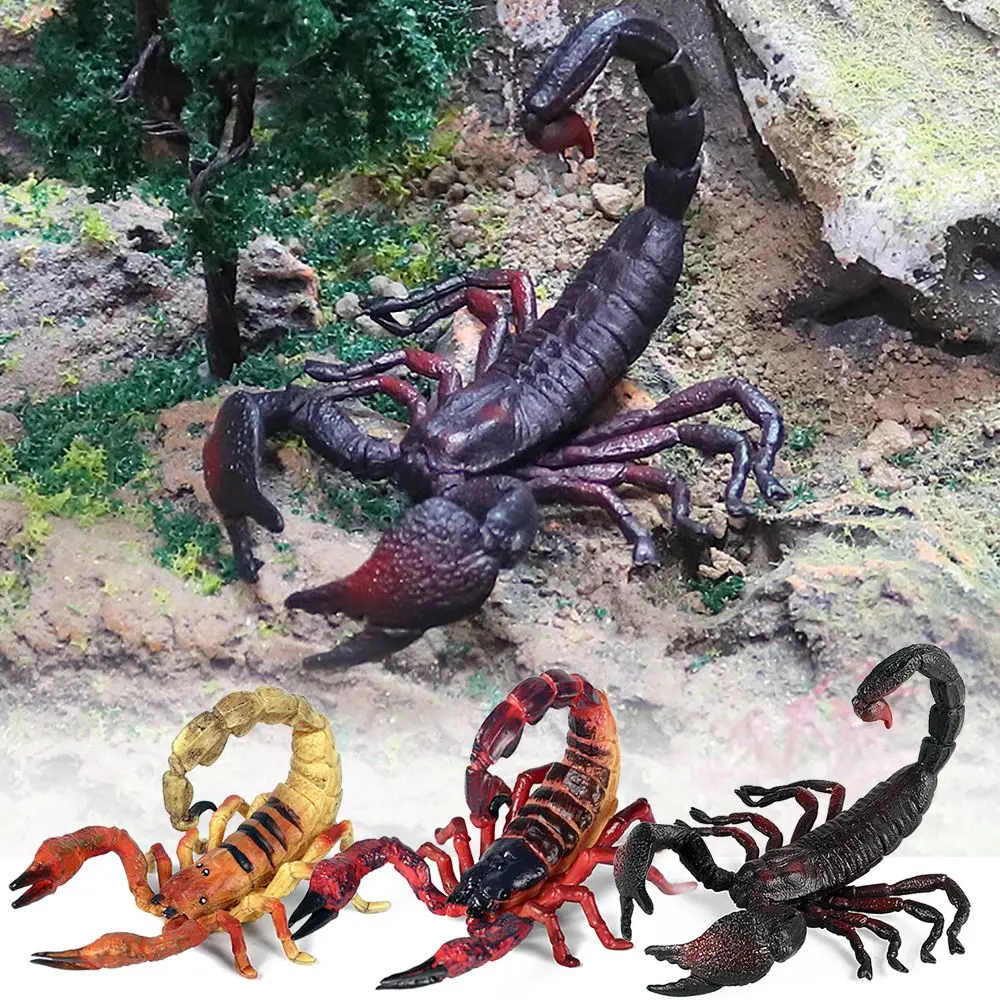 Gift Educational Toy Prank Props Science Nature Scorpion Model Halloween Supplies Insect Figurine Kids Cognition 
Gift Educational Toy Prank Props Science Nature Scorpion Model Halloween Supplies Insect Figurine Kids Cognition