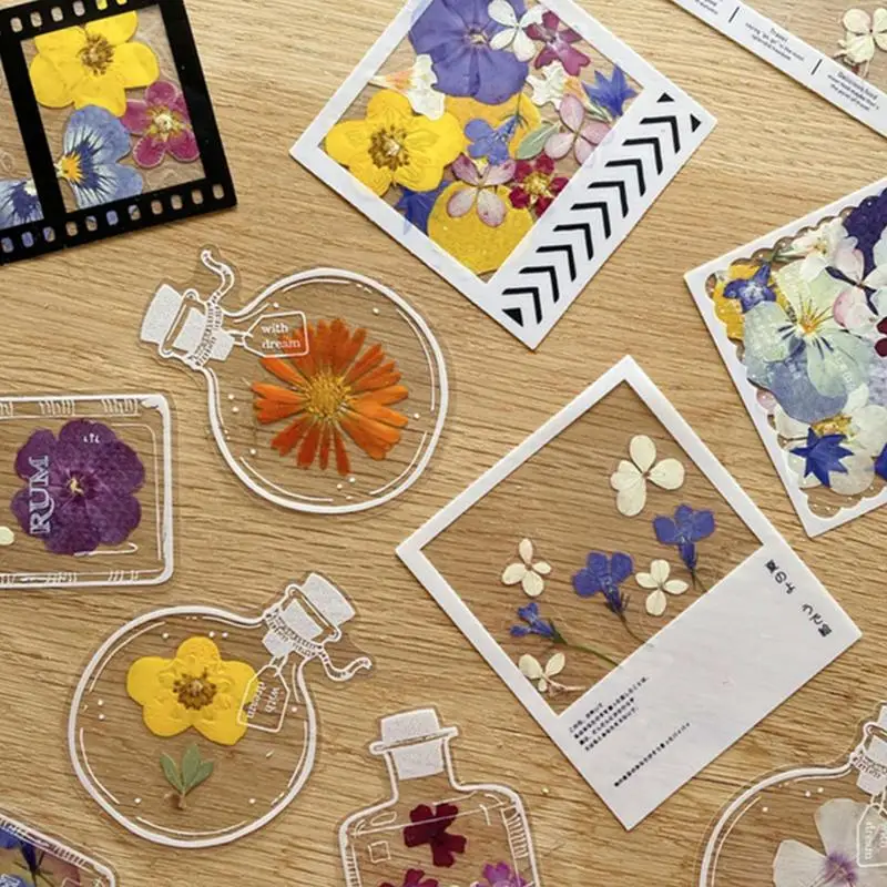 20pcs Multipurpose Scrapbook Decor Stickers PET Decorative Stickers Transparent Bookmark Stickers for DIY Dried Flower Specimen 
20pcs Multipurpose Scrapbook Decor Stickers PET Decorative Stickers Transparent Bookmark Stickers for DIY Dried Flower Specimen
