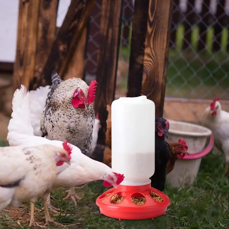

Chicken Feeder Bucket Poultry Feeding Supplies Chicks Duck Feeder 1L Automatic Feeder Barrel Food Water Dispenser Portable