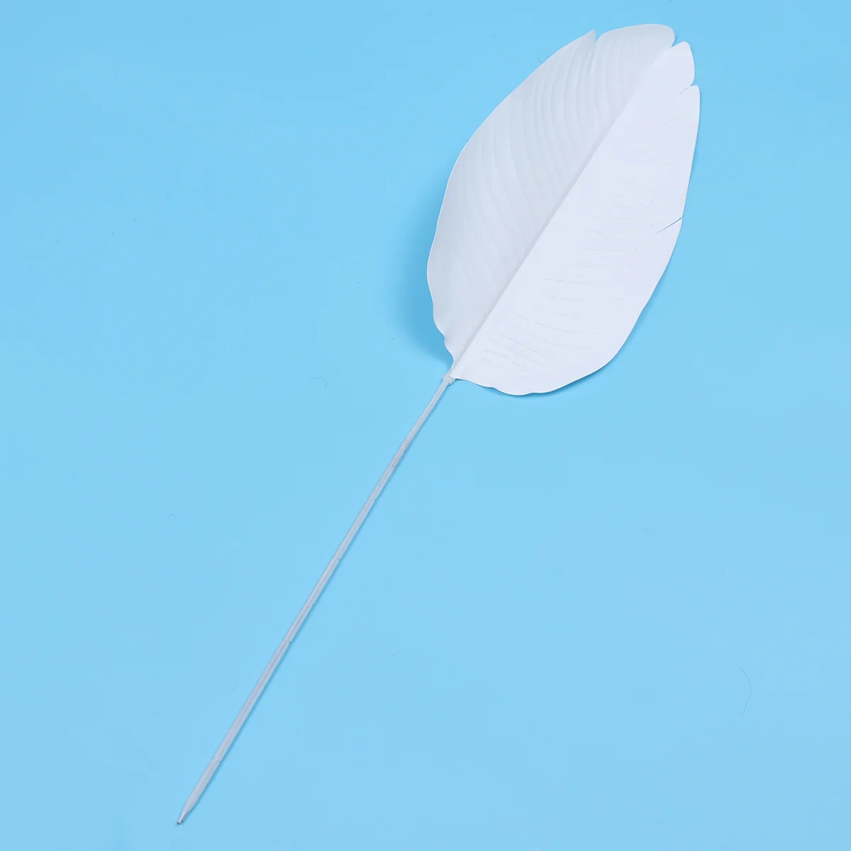 Tropical Leaves Lifelike Look Real Banana Canna Leaf DIY Craft Decorative Leaf Picks Ornaments for Hawaiian Party Wedding White
Tropical Leaves Lifelike Look Real Banana Canna Leaf DIY Craft Decorative Leaf Picks Ornaments for Hawaiian Party Wedding White