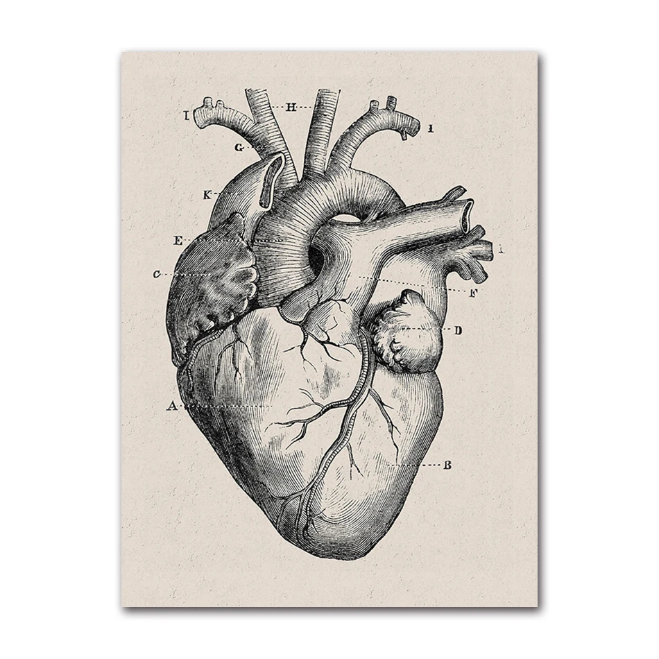 Медицинская картина "Анатомия человека", AliPaint
Медицинская картина "Анатомия человека", AliPaint