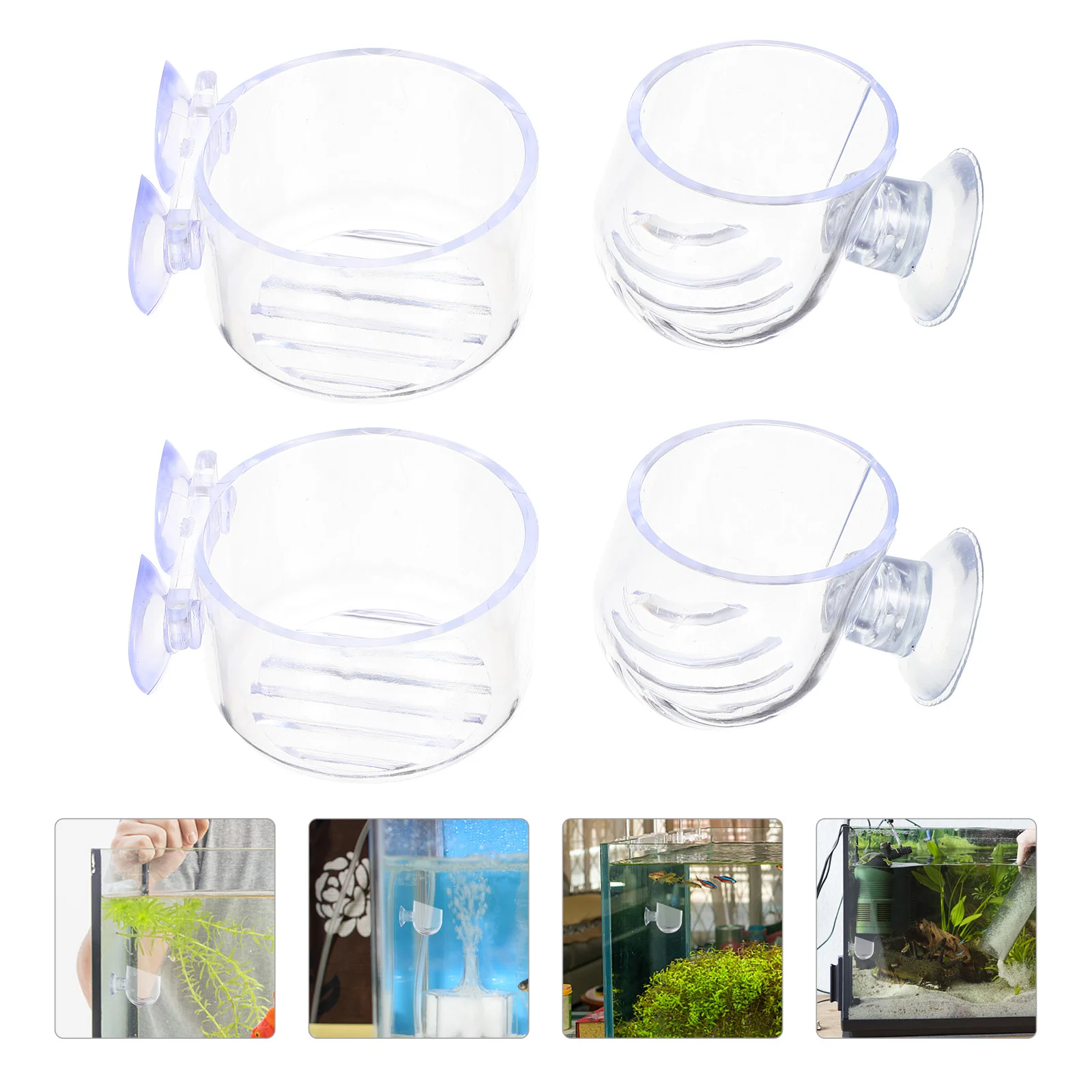 Feeder Feeding Aquarium Cup Tankworm Shrimp Bowl Dish Red Tray Holderring Floating Cone Circle Feeders Aquatic Suction Cups
Feeder Feeding Aquarium Cup Tankworm Shrimp Bowl Dish Red Tray Holderring Floating Cone Circle Feeders Aquatic Suction Cups