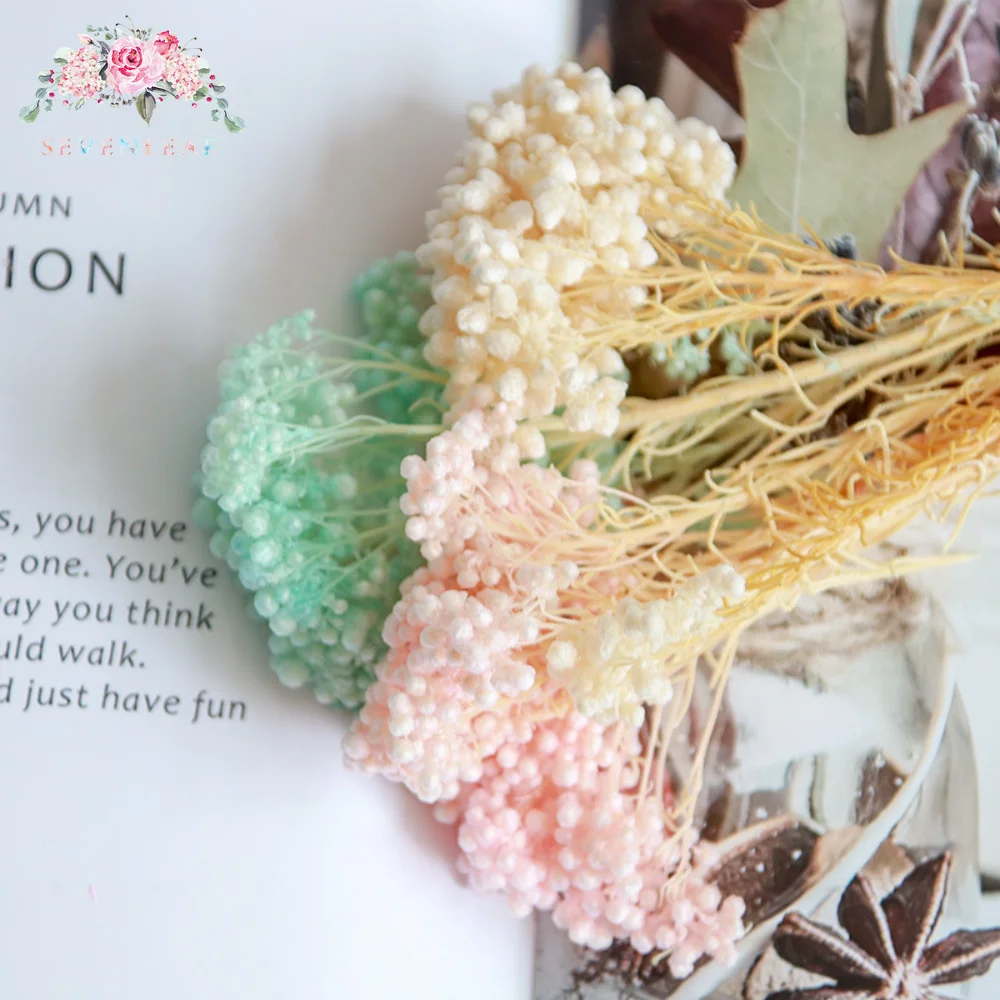 30g Natural Dried Flowers Preserved Millet Rice Flower Bouquets Boho Home Decoration Eternal for Wedding Diy Garden Decor Plants
30g Natural Dried Flowers Preserved Millet Rice Flower Bouquets Boho Home Decoration Eternal for Wedding Diy Garden Decor Plants