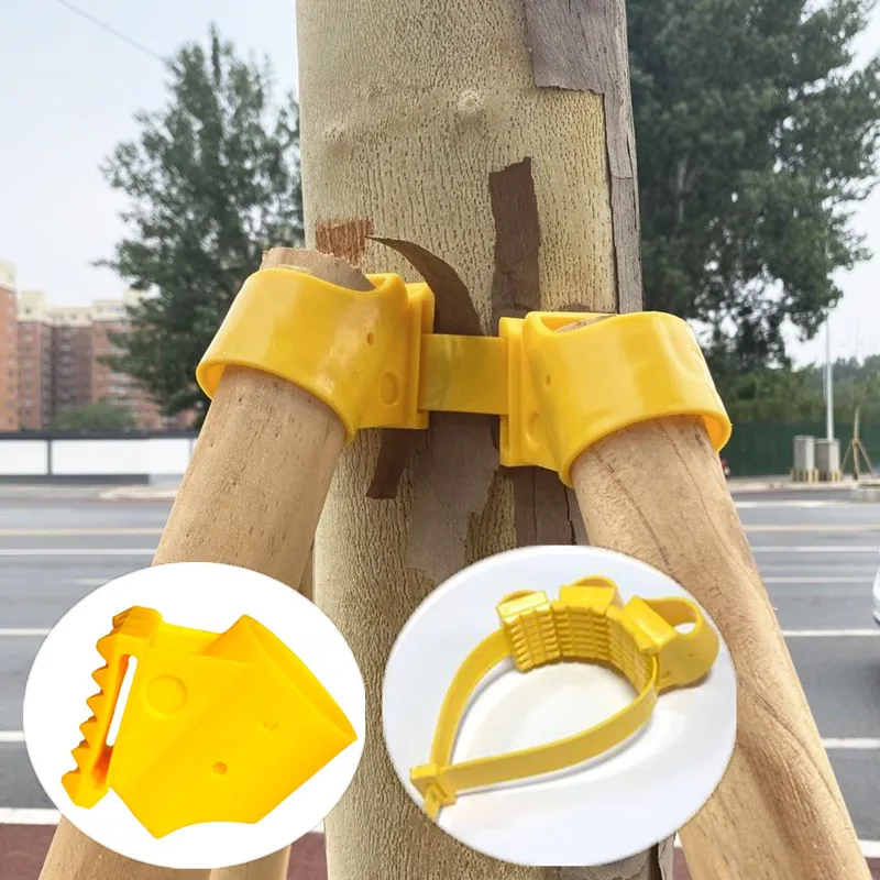 Plant Support Frame Big Tree Growing Support Stakes Tripod Plastic Cups Landscaping Agricultural Tools Garden Supplies
Plant Support Frame Big Tree Growing Support Stakes Tripod Plastic Cups Landscaping Agricultural Tools Garden Supplies
