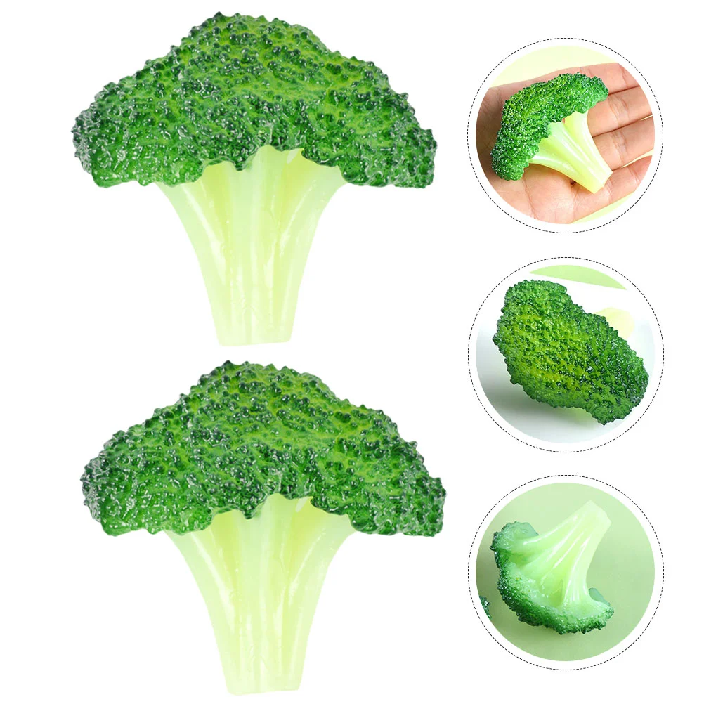 Vegetable Broccoli Artificial Fake Model Lifelike Simulation False Decoration Faux Realistic Fruit Kitchen Decorations
Vegetable Broccoli Artificial Fake Model Lifelike Simulation False Decoration Faux Realistic Fruit Kitchen Decorations